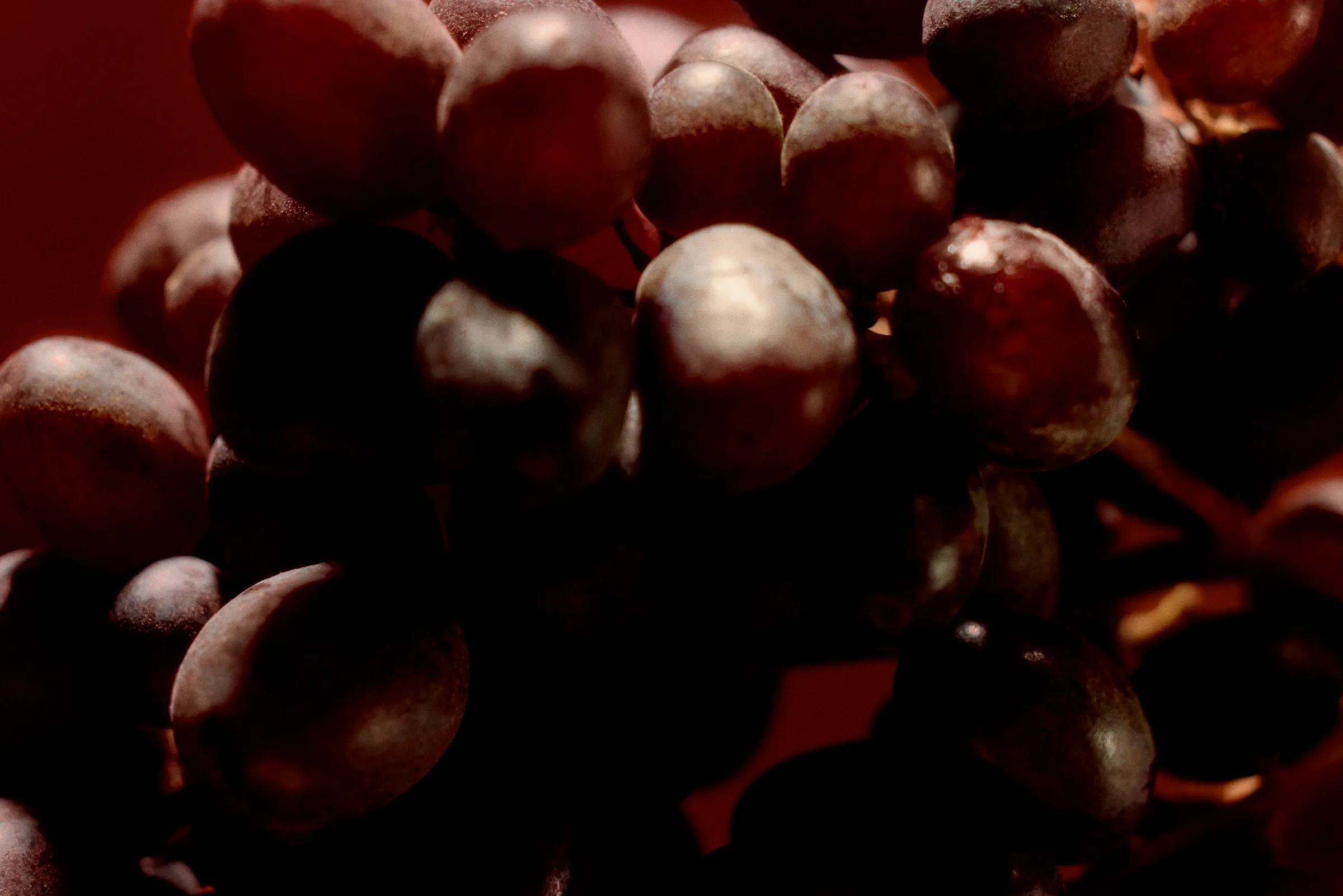 Estate fruit at harvest